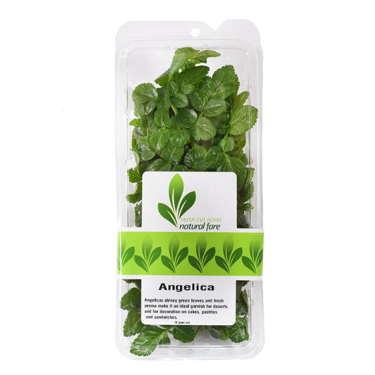 Angelica