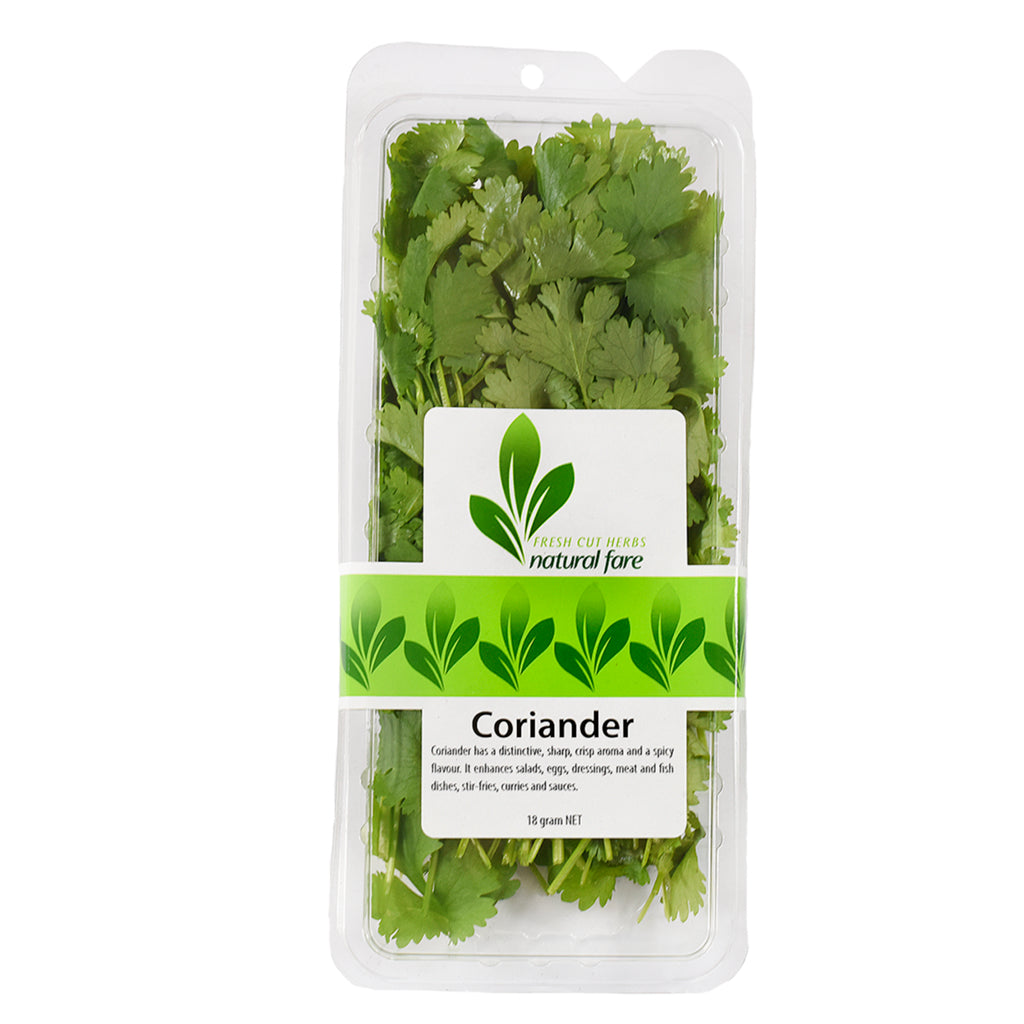 Coriander