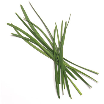 Garlic Chives