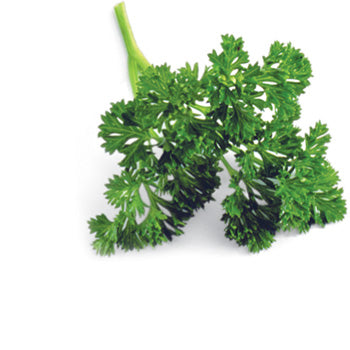 Parsley