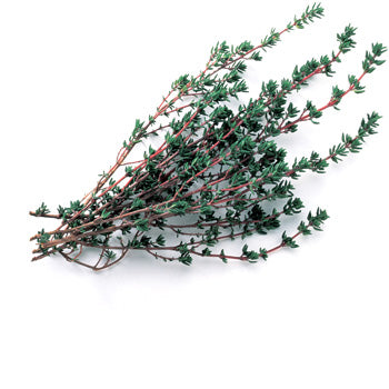 Thyme