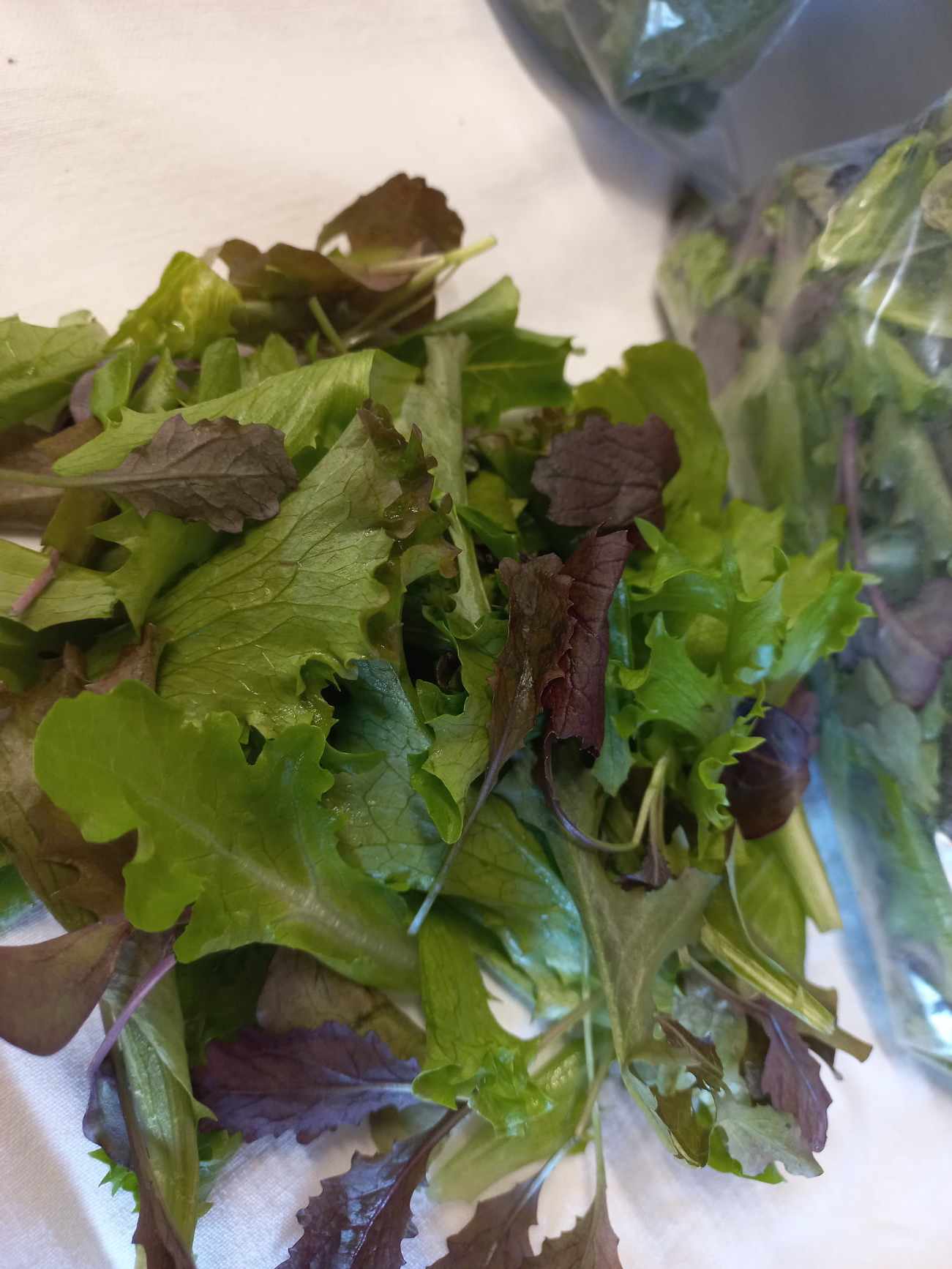 Mesclun Salad with Lettuce